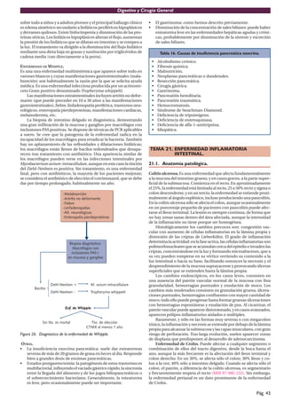 Digestivo y Cirugía General

sobre todo a niños y a adultos jóvenes y el principal hallazgo clínico   •       El gastrinoma: como hemos descrito previamente.
es edema simétrico secundario a linfáticos periféricos hipoplásicos      •       Disminución de la concentración de sales biliares: puede haber
y derrames quilosos. Existe linfocitopenia y disminución de las pro-             esteatorrea leve en las enfermedades hepáticas agudas y cróni-
teínas séricas. Los linfáticos hipoplásicos alteran el ﬂujo, aumentan            cas, probablemente por disminución de la síntesis y excreción
la presión de los linfáticos que se dilatan en intestino y se rompen a           de sales biliares.
la luz. El tratamiento va dirigido a la disminución del ﬂujo linfático
mediante una dieta baja en grasas y sustitución por triglicéridos de               Tabla 16. Causas de insuficiencia pancreática exocrina.
cadena media (van directamente a la porta).
                                                                             •   Alcoholismo crónico.
ENFERMEDAD DE WHIPPLE.                                                       •   Fibrosis quística.
Es una rara enfermedad multisistémica que aparece sobre todo en              •   Malnutrición.
varones blancos y cuyas manifestaciones gastrointestinales (mala-            •   Neoplasias pancreáticas o duodenales.
bsorción) son habitualmente la razón por la que se solicita ayuda            •   Resección pancreática.
médica. Es una enfermedad infecciosa producida por un actinomi-              •   Cirugía gástrica.
ceto Gram positivo denominado Tropheryma whippelii.                          •   Gastrinoma.
    Las manifestaciones extraintestinales incluyen artritis no defor-        •   Pancreatitis hereditaria.
mante (que puede preceder en 10 a 30 años a las manifestaciones              •   Pancreatitis traumática.
gastrointestinales), ﬁebre, linfadenopatía periférica, trastornos neu-       •   Hemocromatosis.
rológicos, enteropatía pierdeproteínas, manifestaciones cardiacas,           •   Síndrome de Swachman-Diamond.
melanodermia, etc.                                                           •   Deﬁciencia de tripsinógeno.
    La biopsia de intestino delgado es diagnóstica, demostrando              •   Deﬁciencia de enteroquinasa.
una gran inﬁltración de la mucosa y ganglios por macrófagos con              •   Deﬁciencia de alfa-1-antitripsina.
inclusiones PAS positivas. Se dispone de técnicas de PCR aplicables          •   Idiopática.
a suero. Se cree que la patogenia de la enfermedad radica en la
incapacidad de los macrófagos para erradicar la bacteria. También
hay un aplanamiento de las vellosidades y dilataciones linfáticas;
los macrófagos están llenos de bacilos redondeados que desapa-           TEMA 21. ENFERMEDAD INFLAMATORIA
recen tras tratamiento con antibiótico. Una apariencia similar de                 INTESTINAL.
los macrófagos pueden verse en las infecciones intestinales por
Mycobacterium avium-intracellulare, aunque en este caso la tinción       21.1. Anatomía patológica.
del Ziehl-Neelsen es positiva. Sin tratamiento, es una enfermedad
fatal, pero con antibióticos, la mayoría de los pacientes mejoran;       Colitis ulcerosa. Es una enfermedad que afecta fundamentalmente
se considera el antibiótico de elección el cotrimoxazol, que se debe     a la mucosa del intestino grueso, y en casos graves, a la parte super-
dar por tiempo prolongado, habitualmente un año.                         ﬁcial de la submucosa. Comienza en el recto. En aproximadamente
                                                                         el 25%, la enfermedad está limitada al recto, 25 a 50% recto y sigma o
                                                                         colon descendente, y en un tercio, la enfermedad se extiende proxi-
                                                                         malmente al ángulo esplénico, incluso produciendo una pancolitis.
                                                                         En la colitis ulcerosa sólo se afecta el colon, aunque ocasionalmente
                                                                         en un porcentaje pequeño de pacientes con pancolitis puede afec-
                                                                         tarse el íleon terminal. La lesión es siempre continua, de forma que
                                                                         no hay zonas sanas dentro del área afectada, aunque la intensidad
                                                                         de la inﬂamación no tiene porque ser homogénea.
                                                                              Histológicamente los cambios precoces son: congestión vas-
                                                                         cular con aumento de células inﬂamatorias en la lámina propia y
                                                                         distorsión de las criptas de Lieberkühn. El grado de inﬂamación
                                                                         determina la actividad: en la fase activa, las células inﬂamatorias son
                                                                         polimorfonucleares que se acumulan cerca del epitelio e invaden las
                                                                         criptas, concentrándose en la luz y formando microabscesos, que a
                                                                         su vez pueden romperse en su vértice vertiendo su contenido a la
                                                                         luz intestinal o hacia su base, facilitando entonces la necrosis y el
                                                                         desprendimiento de la mucosa suprayacente y provocando úlceras
                                                                         superﬁciales que se extienden hasta la lámina propia.
                                                                              Los cambios endoscópicos, en los casos leves, consisten en
                                                                         una ausencia del patrón vascular normal de la mucosa con ﬁna
                                                                         granularidad, hemorragias puntuales y exudación de moco. Los
                                                                         cambios más moderados consisten en granulación gruesa, úlcera-
                                                                         ciones puntuales, hemorragias conﬂuentes con mayor cantidad de
                                                                         moco; todo ello puede progresar hasta formar gruesas úlceraciones
                                                                         con hemorragias espontáneas y exudación de pus. Al cicatrizar, el
                                                                         patrón vascular puede aparecer distorsionado, y en casos avanzados,
                                                                         aparecen pólipos inﬂamatorios aislados o múltiples.
                                                                              Raramente, y sólo en las formas muy severas o con megacolon
                                                                         tóxico, la inﬂamación y necrosis se extiende por debajo de la lámina
                                                                         propia para alcanzar la submucosa y las capas musculares, con gran
Figura 26. Diagnóstico de la enfermedad de Whipple.                      riesgo de perforación. Tras larga evolución, suelen aparecer zonas
                                                                         de displasia que predisponen al desarrollo de adenocarcinoma.
 OTRAS.                                                                       Enfermedad de Crohn. Puede afectar a cualquier segmento o
• La insuﬁciencia exocrina pancreática: suele dar esteatorreas           combinación de ellos del tracto digestivo, desde la boca hasta el
   severas de más de 20 gramos de grasa en heces al dia. Responde        ano, aunque la más frecuente es la afectación del íleon terminal y
   bien a grandes dosis de enzimas pancreáticas.                         colon derecho. En un 30%, se afecta sólo el colon; 30% íleon y co-
• Estados postgastrectomía: la patogénesis de estos trastornos es        lon a la vez; 40% sólo a intestino delgado. Cuando se afecta sólo el
   multifactorial, inﬂuyendo el vaciado gástrico rápido, la sincronía    colon, el patrón, a diferencia de la colitis ulcerosa, es segmentario
   entre la llegada del alimento y de los jugos biliopancreáticos o      y frecuentemente respeta el recto (MIR 97-98F, 232). Sin embargo,
   el sobrecrecimiento bacteriano. Generalmente, la esteatorrea          la enfermedad perianal es un dato prominente de la enfermedad
   es leve, pero ocasionalmente puede ser importante.                    de Crohn.

                                                                                                                                        Pág. 43
 