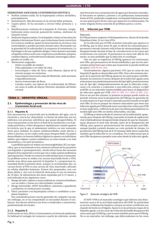 miniMANUAL 1 CTO

DERMATOSIS ASOCIADAS A ENFERMEDAD HEPÁTICA.                             más frecuente tras contaminación de aguas por desastres naturales.
• Porﬁria cutánea tarda. En la hepatopatía crónica alcohólica,          Es frecuente en adultos y jóvenes y en poblaciones inmunizadas
  principalmente.                                                       frente al VHA, pudiendo complicarse con hepatitis fulminante hasta
• Xantomatosis. Más frecuentes en la cirrosis biliar primaria.          en una quinta parte de los casos que aparecen en embarazadas. No
• Liquen plano. Se ha asociado a cirrosis biliar primaria y a           existe ninguna forma conocida de proﬁlaxis pasiva o activa.
  VHC.
• Manifestaciones cutáneas de la hepatitis B. Urticaria, crioglo-       2.2.    Infección por VHB.
  bulinemia mixta esencial, panarteritis nodosa, síndrome de
  Gianotti-Crosti.                                                      VIROLOGÍA.
• Síndrome hepatocutáneo. En la hepatitis crónica se han descrito       El VHB pertenece al género Orthohepadnavirus, dentro de la familia
  pápulas eritematosas ﬁrmes, que evolucionan hasta convertirse         Hepadnaviridae. Es un virus DNA.
  en cicatrices atróﬁcas; aparecen bruscamente en el tronco y las           En la infección por el VHB, el primer marcador que aparece es
  extremidades y pueden persistir durante años, ﬂuctuando con           el HBsAg, que lo hace antes de que se eleven las transaminasas y
  la gravedad de la enfermedad y la respuesta al tratamiento. La        permanece elevado durante toda la fase de sintomatología clínica,
  histología es de una capilaritis alérgica. Otras lesiones asociadas   desapareciendo durante la fase de convalecencia en los casos que
  a hepatitis crónica activa son: erupciones acneiformes, púrpura,      evolucionan a la curación. Si permanece en suero más allá de tres
  cambios lúpicos, esclerodermia localizada, hemorragias subun-         meses, es muy probable que la infección se croniﬁque.
  gueales en astilla, etc.                                                  Una vez que se negativiza el HBsAg aparecen los anticuerpos
• Alteraciones ungueales.                                               anti-HBs, que permanecen de forma indeﬁnida y que son los anti-
  - Dedos en palillo de tambor.                                         cuerpos protectores que evitan que el paciente se pueda reinfectar
  - Uñas aplanadas o en vidrio de reloj.                                de nuevo (MIR 99-00, 168).
  - Leuconiquia o uñas de Terry: uñas blancas, típicas de la                Ocasionalmente, algunos pacientes (5%) que se curan de una
      cirrosis aunque no exclusivas.                                    hepatitis B aguda no desarrollan anti-HBs. Una o dos semanas des-
  - Leuconiquia transversal o uñas de Muehrcke: suele asociarse         pués de la aparición del HBsAg aparecen los anticuerpos antiHBc;
      a hipoalbuminemia.                                                durante los primeros 6 meses después de la infección aguda estos
  - Surcos transversales de Beau.                                       anticuerpos son predominantemente del tipo IgM y posteriormente
  - Lúnulas azules: son típicas de la enfermedad de Wilson,             son de tipo IgG, independientemente de que la infección evolu-
      así como el anillo de Kayser-Fleischer alrededor del limbo        cione a la curación o evolucione a una infección crónica. La IgM
      corneal.                                                          antiHBc es un marcador imprescindible para hacer el diagnóstico
                                                                        de infección aguda por VHB (MIR 97-98F, 237; MIR 95-96F, 124).
                                                                        Esto es así por dos razones: la primera es porque puede existir un
TEMA 2. HEPATITIS VÍRICAS.                                              período ventana entre la desaparición del HBsAg y la aparición de
                                                                        su anticuerpo en el que el único marcador positivo puede ser la IgM
2.1.     Epidemiología y prevención de los virus de                     anti-HBc; la otra es porque los mismos marcadores que tiene una
         transmisión fecal-oral.                                        infección aguda por VHB puede tener una infección crónica por VHB
                                                                        en fase replicativa, a diferencia de que esta última generalmente no
2.1.1. Hepatitis A.                                                     tendría IgM anti-HBc en niveles detectables, sino IgG.
Este picornavirus es inactivado por la ebullición del agua, con la          El HBeAg se detecta desde el comienzo de la enfermedad, apare-
cloración y con la luz ultravioleta. La fuente de infección son los     ciendo poco después del HBsAg, marcando el estado de replicación
enfermos con procesos subclínicos que pasan desapercibidos. El          viral y habitualmente desapareciendo después de que las transami-
virus está presente en las heces al ﬁnal de la incubación y en el pe-   nasas alcancen el nivel más elevado, antes de la desaparición del
ríodo preictérico, si bien desaparece rápidamente cuando aparece        HBsAg, para aparecer posteriormente los anticuerpos anti-HBe,
la ictericia, por lo que el aislamiento entérico en este momento        aunque pueden coexistir durante un corto período de tiempo. La
tiene poca utilidad. En países subdesarrollados suele afectar a         persistencia del HBeAg más de 8-10 semanas debe hacer sospechar
niños y jóvenes, en los cuales suele pasar desapercibido. En países     también que la infección se va a croniﬁcar. No es infrecuente que el
desarrollados con buenos hábitos higiénicos aparece en individuos       anti-HBe desaparezca pasados unos años desde la infección aguda.
adultos que migran a países endémicos; en estos tiende a ser más
sintomática y con peor pronóstico.
    La proﬁlaxis pasiva se realiza con inmunoglobulina (IG) no espe-
cíﬁca, que se recomienda en los contactos íntimos de los pacientes
con hepatitis A (postexposición), siendo eﬁcaz hasta dos semanas
después de la exposición y en los que van a viajar a países endémicos
(preexposición). Puede no evitarse la enfermedad, pero sí atenuarla.
La proﬁlaxis activa se realiza con vacuna inactivada frente a VHA,
siendo muy eﬁcaz para prevenir la hepatitis A, y proporciona in-
munidad desde la primera dosis, aunque se recomiendan dos. La
vacuna frente al VHA es una vacuna de virus inactivado cultivado
en células diploides humanas. Existen dos preparados, uno con
dosis adulta y otro con la mitad de dosis para su uso en menores
de 18 años. Se administran dos dosis separadas por 6-12 meses y
está indicada en los siguientes casos:
1. Riesgo elevado: viajeros a zonas endémicas, contactos familiares
    con un índice y brotes en colectividades cerradas.
2. Riesgo intermedio: ADVP, hemofílicos, asistentes a guarderías
    y residentes en instituciones cerradas.
3. Otros: pacientes con hepatopatía crónica o candidatos a tras-
    plante hepático.                                                    Figura 3.   Evolución serológica del VHB.
    Sus contraindicaciones son las generales de cualquier vacuna,
sin embargo, no se ha comprobado su inocuidad durante el em-                El ADN-VHB es el marcador serológico que informa más direc-
barazo. Sus efectos adversos son leves o moderados y transitorios,      tamente acerca de la actividad replicativa del VHB. Su positividad
predominando los locales.                                               se asocia a inﬂamación hepática, aunque no existe correlación con
                                                                        el grado de lesión en el hígado. Aparece en las primeras etapas de la
2.1.2. Hepatitis E.                                                     hepatitis aguda, y en los casos de evolución favorable desaparece del
Es frecuente en Asia, África y Centroamérica en forma de epidemias.     suero antes que el HBeAg, y por lo tanto también antes que el HBsAg.
Es habitual el contagio de contactos a partir de enfermos, siendo       No es un marcador, sin embargo, que deba realizarse en los casos

Pág. 6
 
