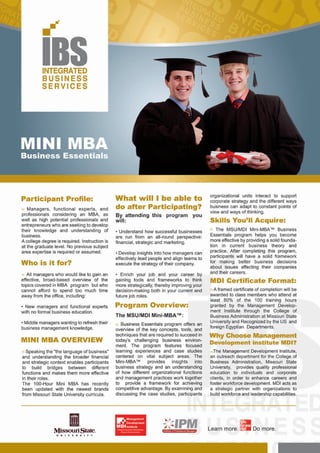 IBSEMEA | Mini MBA