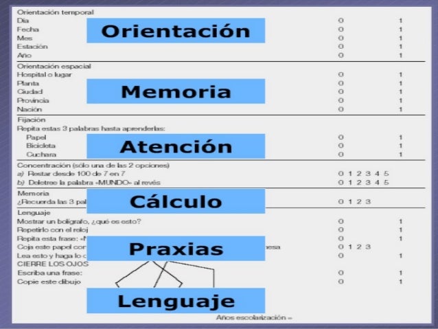 Minimental minsal