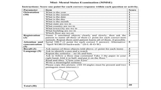 mini mental status examination final.pdf