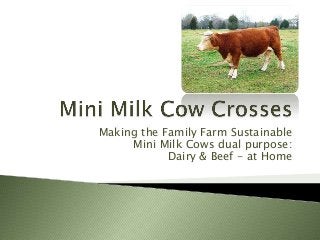 Making the Family Farm Sustainable
Mini Milk Cows dual purpose:
Dairy & Beef - at Home
 