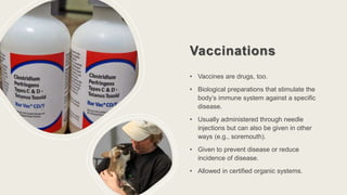 Vaccinations
• Vaccines are drugs, too.
• Biological preparations that stimulate the
body’s immune system against a specific
disease.
• Usually administered through needle
injections but can also be given in other
ways (e.g., soremouth).
• Given to prevent disease or reduce
incidence of disease.
• Allowed in certified organic systems.
 