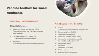 Vaccine toolbox for small
ruminants
UNIVERSALLY-RECOMMENDED
Clostridial diseases
1. 3-way (CDT) toxoid (e.g., Bar-Vac CD/T)
Clostridial perfringins type C & D and clostridial
tetani (tetanus).
2. 7 or 8-way toxoid (e.g., Covexin™-8)
CDT + additional clostridial diseases
3. Anti-toxins
for treatment or immediate, short-term protection
AS NEEDED (risk: benefit)
1. Abortion
Chlamydia (Enzootic) + Vibrio (Campylobacter)
2. Caseous lymphadenitis (CL)
3. Epididymitis (Brucella ovis)
4. Footrot (not available in most states)
5. Haemonchus contortus (BarberVax®)
Not available in US (yet or ever?)
6. Mastitis (new goats)
7. Pneumonia
Pasteurella, PI3 (cattle)
8. Rabies – Vx
9. Soremouth (orf) – live vaccine
 