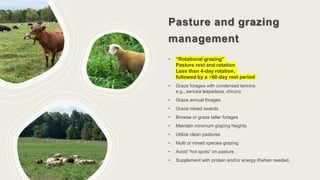 Pasture and grazing
management
• “Rotational grazing”
Pasture rest and rotation
Less than 4-day rotation,
followed by a ~60-day rest period
• Graze forages with condensed tannins
e.g., sericea lespedeza, chicory
• Graze annual forages
• Graze mixed swards
• Browse or graze taller forages
• Maintain minimum grazing heights
• Utilize clean pastures
• Multi or mixed species grazing
• Avoid “hot spots” on pasture
• Supplement with protein and/or energy if/when needed.
 