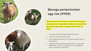 Manage periparturient
egg rise (PPER)
Temporary reduction in immunity around time of parturition
(2 weeks prior to 8 weeks after), resulting in increased fecal
egg counts (major source of pasture contamination for
lambs).
1. Keep ewes off-pasture during periparturient period.
2. Lamb when parasites are less active.
3. Feed a higher protein ration, esp. by-pass protein to ewes in
late gestation.
4. Selectively deworm ewes prior to parturition (or shortly after):
FAMACHA© > 4, BCS < 2, bottle jaw, 3 or more offspring,
heavy milk producers, first-timers.
 