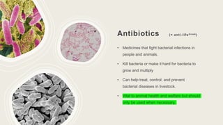 Antibiotics (= anti-lifeGreek)
• Medicines that fight bacterial infections in
people and animals.
• Kill bacteria or make it hard for bacteria to
grow and multiply
• Can help treat, control, and prevent
bacterial diseases in livestock.
• Vital to animal health and welfare but should
only be used when necessary.
 