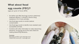 What about fecal
egg counts (FEC)?
eggs per gram of feces (EPG)
• Do before and after fecal egg counts to determine
treatment efficacy (1 animal) or level of drug
resistance (10 or more animals).
• Use fecal egg counts to monitor pasture
contamination.
• Use fecal egg counts to identify more resistant (and
susceptible) animals.
• Combine with other information to make deworming
decisions, but do not use as the sole criteria for
making deworming decisions.
Examples
Poor body condition (<2)+ fecal egg count
FAMACHA© score (>3) + fecal egg count
 