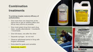 Combination
treatments
To prolong (maybe restore) efficacy of
anthelmintics.
• Give more than one dewormer at the
same time to get an additive effect and
kill as many worms as possible.
• Give most potent drug from each drug
class, usually albendazole + moxidectin
+ levamisole.
• Give full doses, one after the other
• Separate syringes: do not mix!
• Observe withdrawal period of drug with
longest withdrawal
• Extra label for goats and camelids
• Selectively treat!!!!
2/3/20XX 31
 