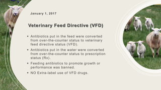 January 1, 2017
Veterinary Feed Directive (VFD)
 Antibiotics put in the feed were converted
from over-the-counter status to veterinary
feed directive status (VFD).
 Antibiotics put in the water were converted
from over-the-counter status to prescription
status (Rx).
 Feeding antibiotics to promote growth or
performance was banned.
 NO Extra-label use of VFD drugs.
 