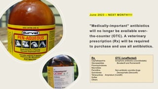 June 2023 – NEXT MONTH!!!!
”Medically-important” antibiotics
will no longer be available over-
the-counter (OTC). A veterinary
prescription (Rx) will be required
to purchase and use all antibiotics.
Rx OTC (unaffected)
Cephalosporins Ionophore antibiotics (coccidiostats)
Glycopeptides Bovatec® and Rumensin®
Fluoroquinolones
Macrolides
Penicillins Non-antibiotic coccidia drugs
Quinolones Decoquinate (Deccox®)
Tetracyclines Amprolium (Corid®)
Sulfas
Others
 