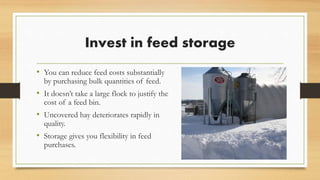Invest in feed storage
• You can reduce feed costs substantially
by purchasing bulk quantities of feed.
• It doesn’t take a large flock to justify the
cost of a feed bin.
• Uncovered hay deteriorates rapidly in
quality.
• Storage gives you flexibility in feed
purchases.
 