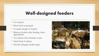Well-designed feeders
• Use feeders
• Don’t feed on ground.
• Consider design of feeders
• Remove feeders after feeding, when
appropriate.
• Use feeders that minimize waste.
• Limit feed, if option
• Provide adequate feeder space, especially if
limit feeding.
 
