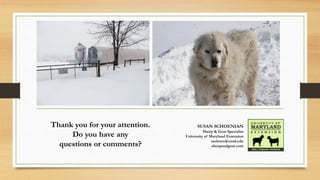 Thank you for your attention.
Do you have any
questions or comments?
SUSAN SCHOENIAN
Sheep & Goat Specialist
University of Maryland Extension
sschoen@umd.edu
sheepandgoat.com
 