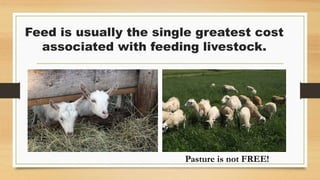 Feed is usually the single greatest cost
associated with feeding livestock.
Pasture is not FREE!
 