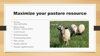 Maximize your pasture resource
• Soil test
Lime and fertilize
• Mixed swards
Grasses + clovers (forbs)
• Control weeds
• Rotational grazing
• Extend grazing season
• Plant annuals
• Sacrifice field/lot
• Strategic supplementation
 