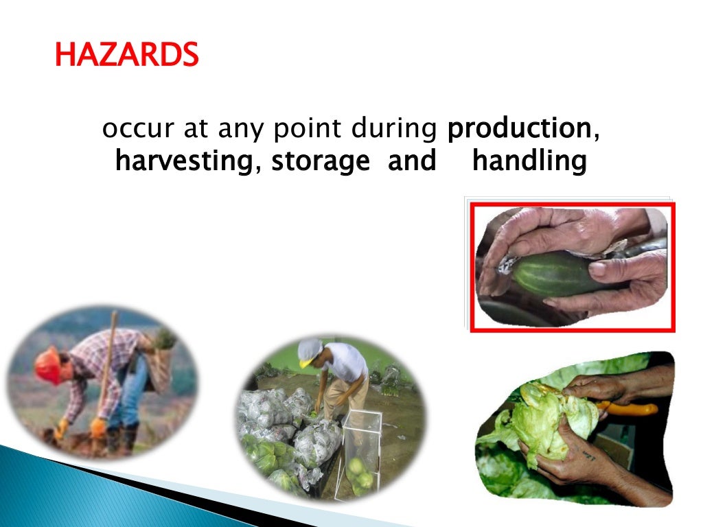 Minimizing Food Security Safety Hazards in Selected Vegetables throug…