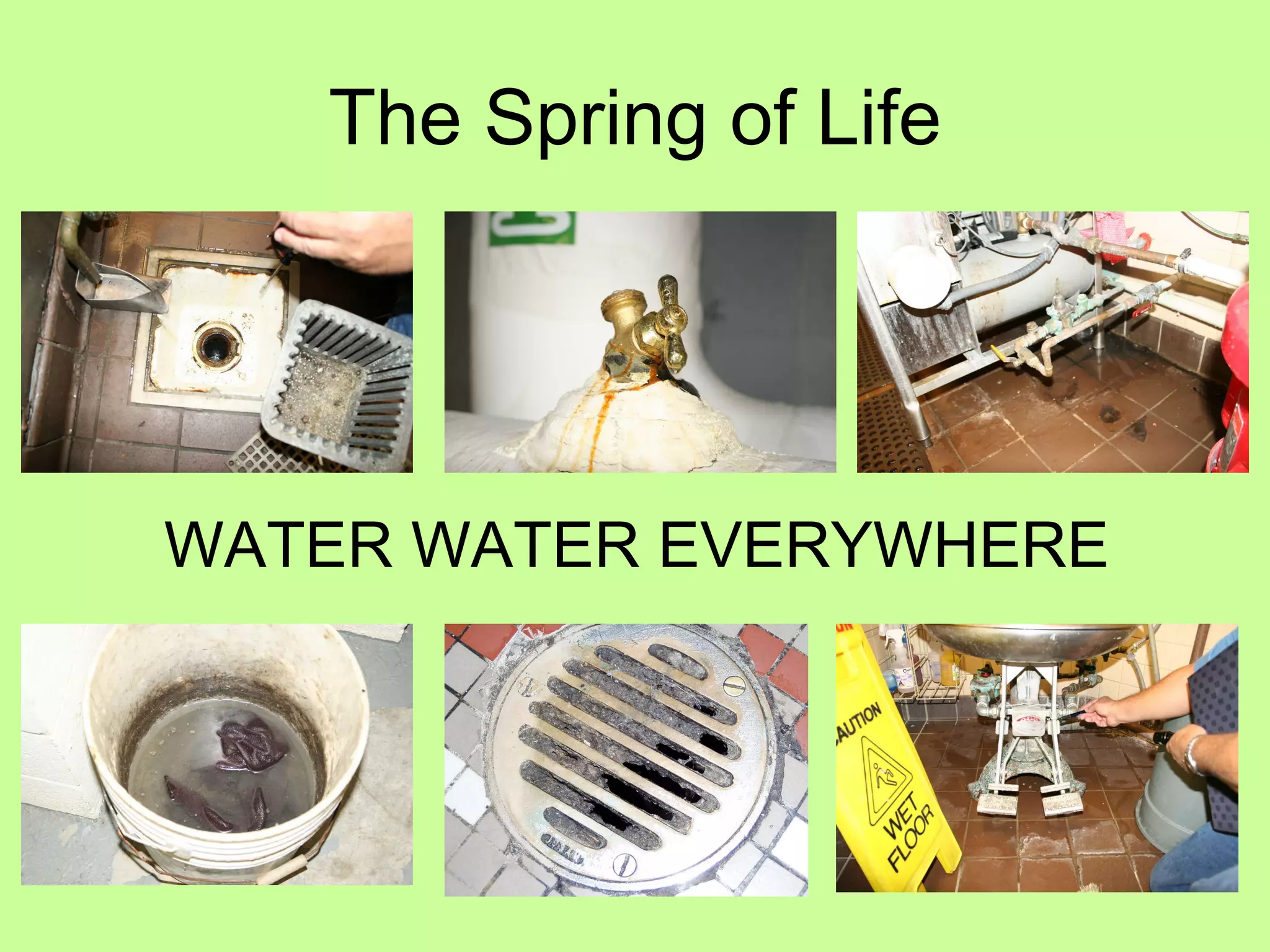 The Spring of Life WATER WATER EVERYWHERE 