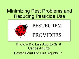 Minimizing Pest Problems and Reducing Pesticide Use Photo’s By: Luis Agurto Sr. & Carlos Agurto Power Point By: Luis Agurto Jr.  PESTEC IPM PROVIDERS 