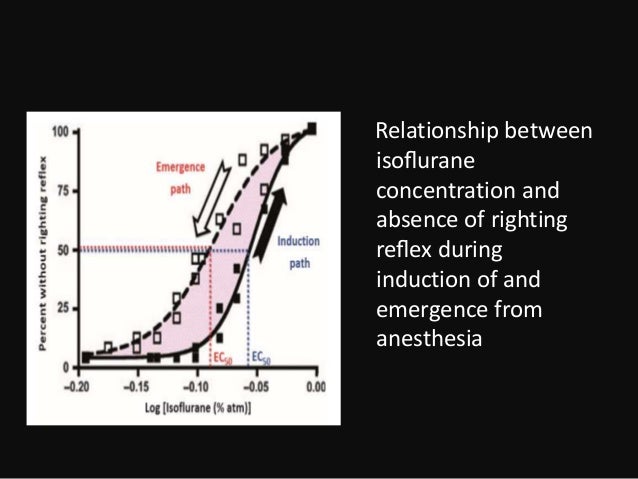 Minimum alveolar concentration (mac)
