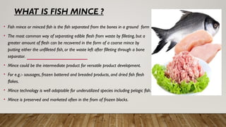 Mininced Meat .pptx food science and technology | PPTX