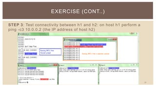 Mininet demo | PPTX