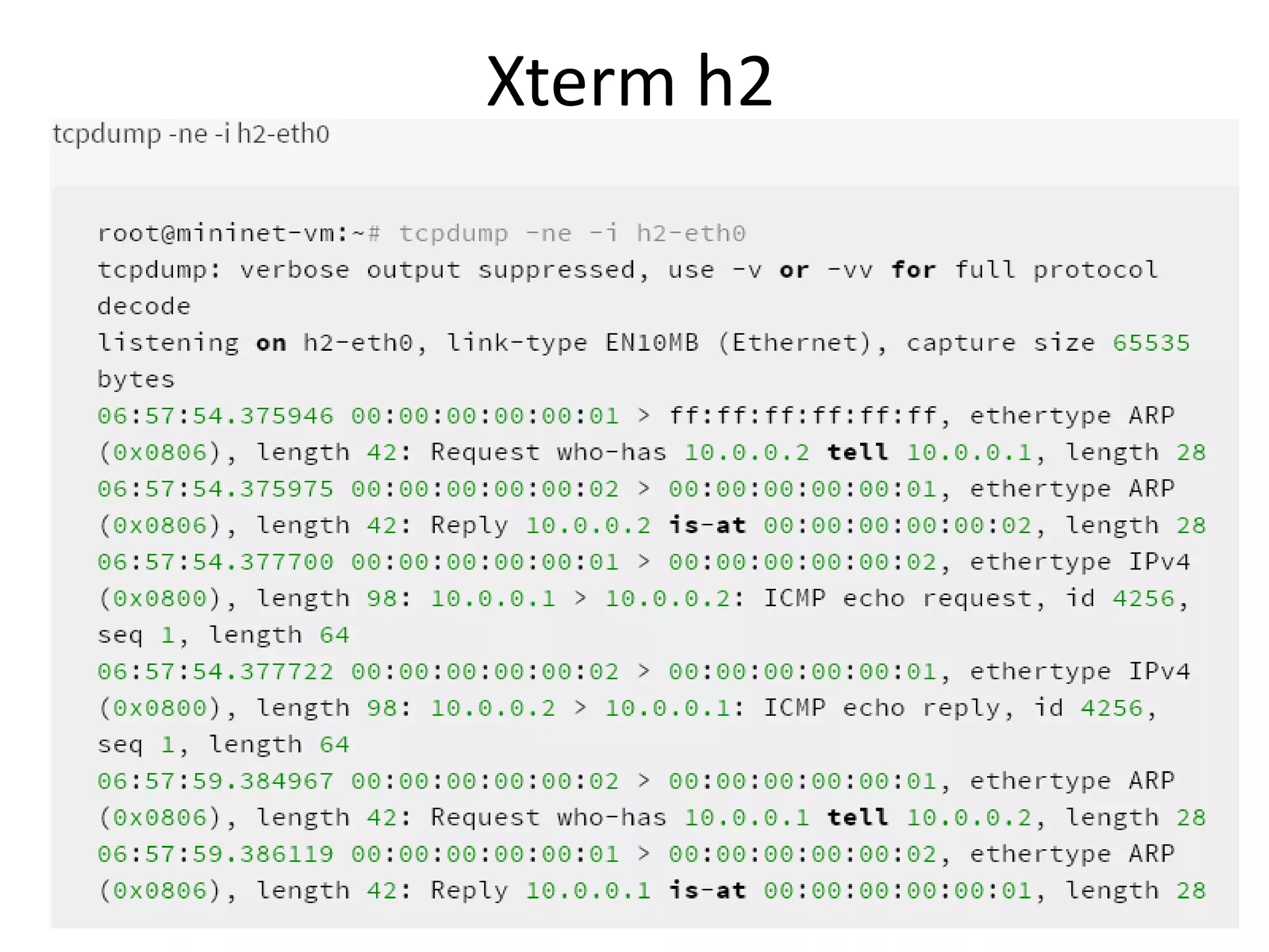 Xterm h2