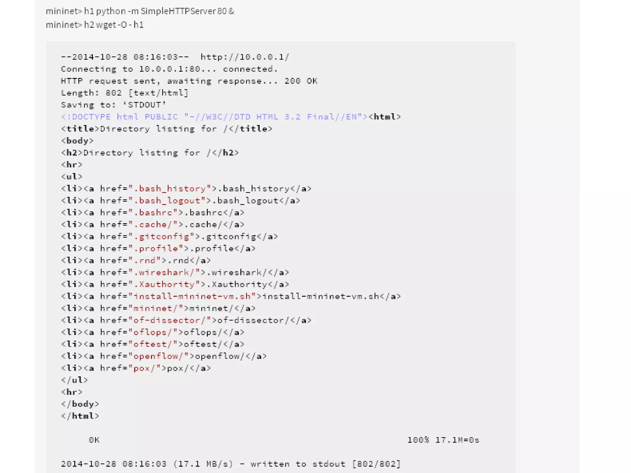 5 - SDN Mininet experiments by Bagus Aditya & Hamzah Mustakim