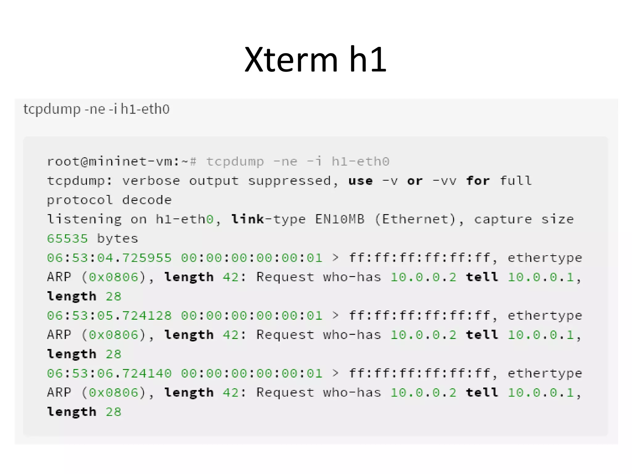 Xterm h1