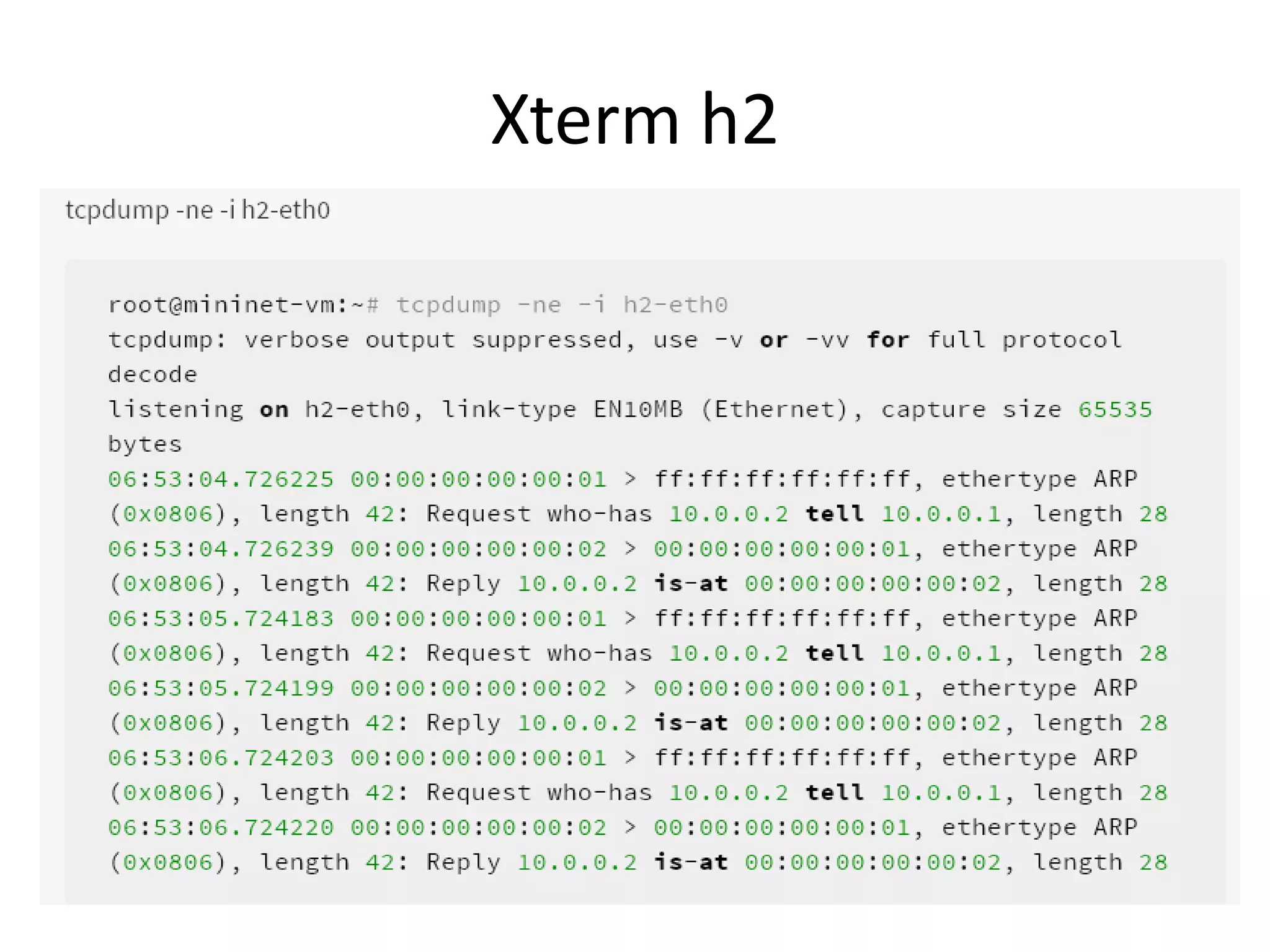 Xterm h2