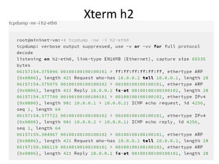 Xterm h2 
 