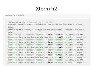 Xterm h2 
 
