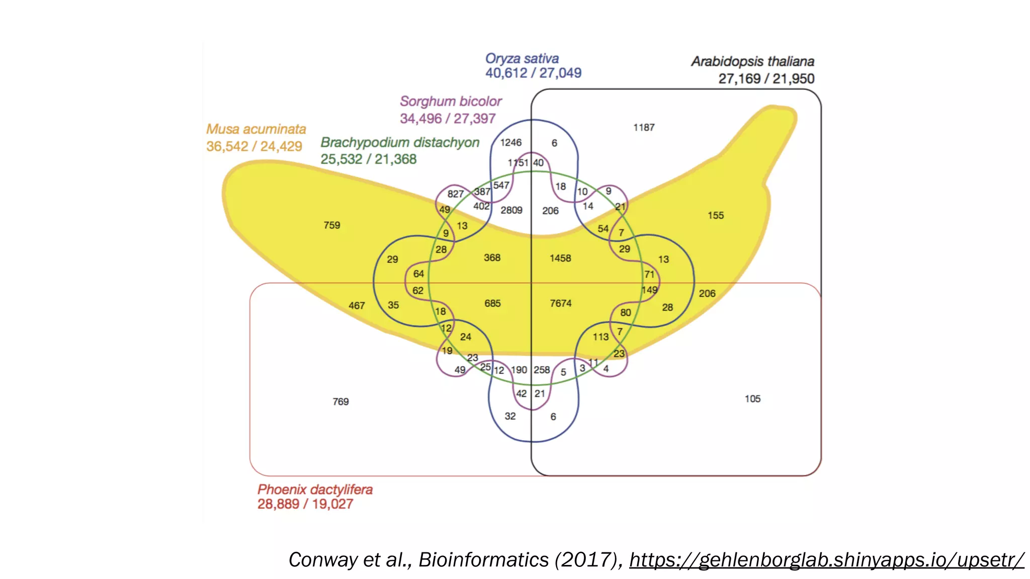 Conway et al., Bioinformatics (2017), https://gehlenborglab.shinyapps.io/upsetr/
 