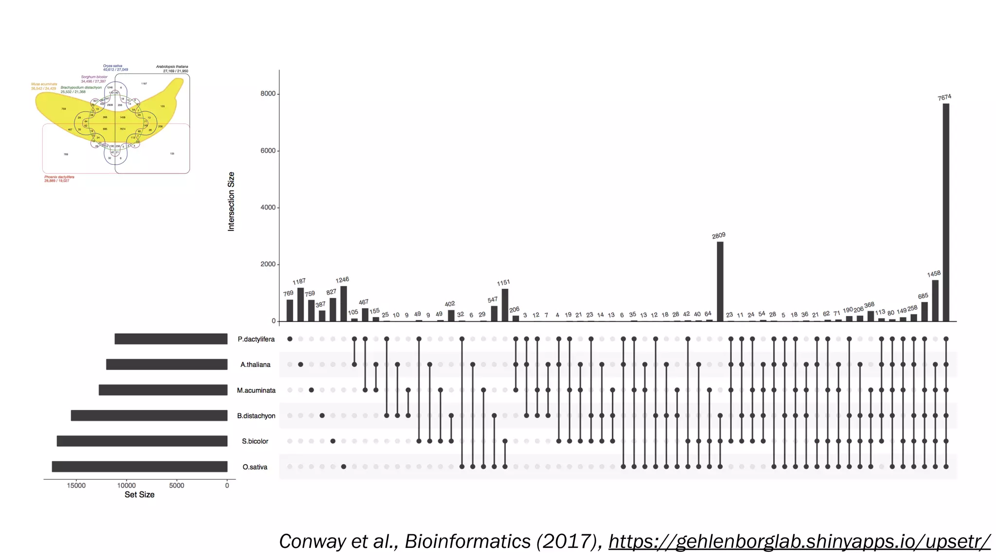Conway et al., Bioinformatics (2017), https://gehlenborglab.shinyapps.io/upsetr/
 