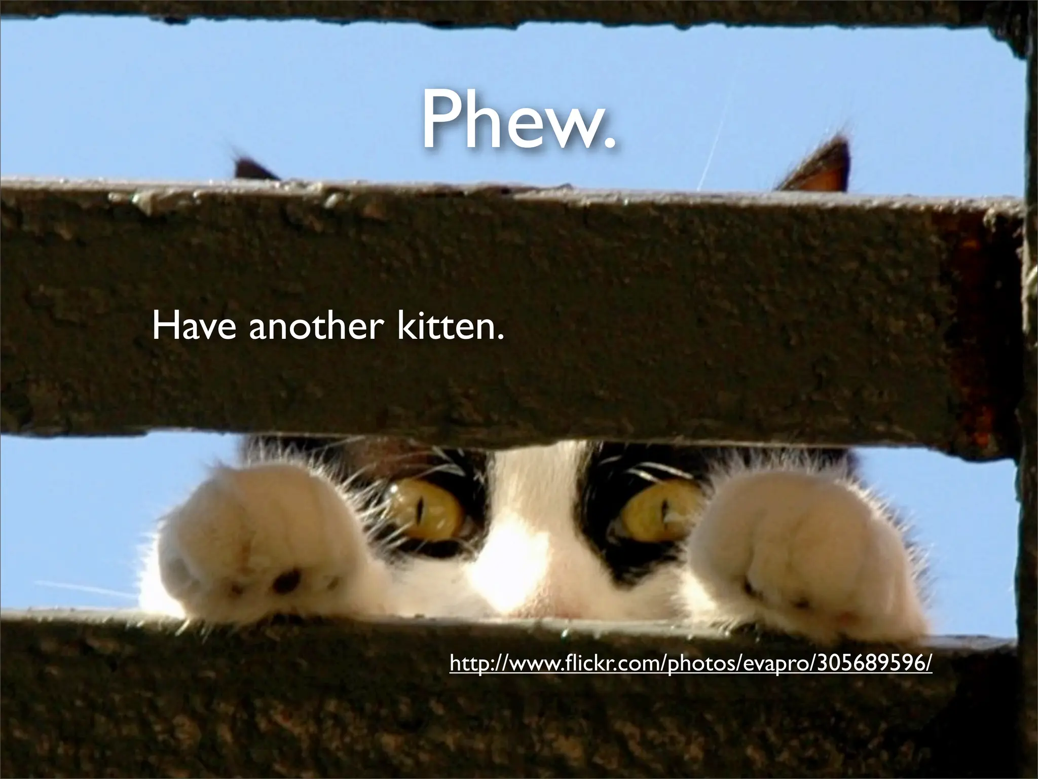 Mining Wikipedia For Awesome Data