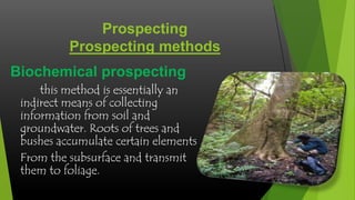 Prospecting
Prospecting methods
Biochemical prospecting
this method is essentially an
indirect means of collecting
information from soil and
groundwater. Roots of trees and
bushes accumulate certain elements
From the subsurface and transmit
them to foliage.

 