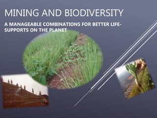 MINING AND BIODIVERSITY
A MANAGEABLE COMBINATIONS FOR BETTER LIFE-
SUPPORTS ON THE PLANET
 