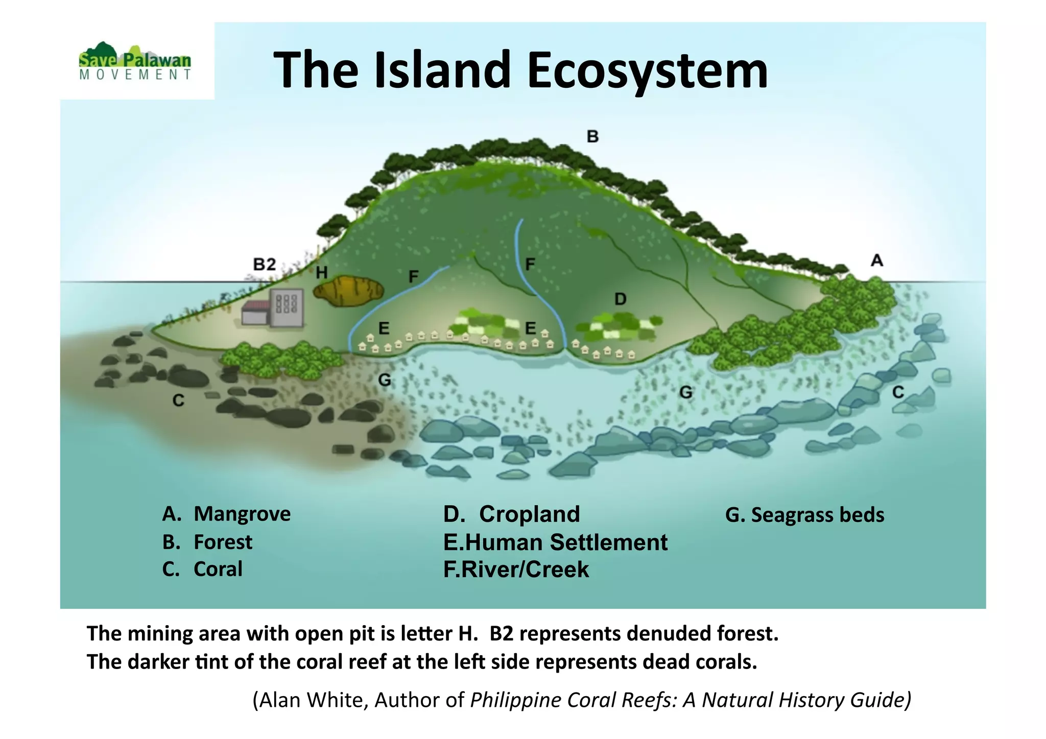 The	
  Island	
  Ecosystem	
  




             A.  Mangrove	
                                  D. Cropland                                      G.	
  Seagrass	
  beds	
  
             B.  Forest	
                                    E. Human Settlement
             C.  Coral	
                                     F. River/Creek

The	
  mining	
  area	
  with	
  open	
  pit	
  is	
  leer	
  H.	
  	
  B2	
  represents	
  denuded	
  forest.	
  	
  	
  
The	
  darker	
  Gnt	
  of	
  the	
  coral	
  reef	
  at	
  the	
  le_	
  side	
  represents	
  dead	
  corals.	
  
                           	
  (Alan	
  White,	
  Author	
  of	
  Philippine	
  Coral	
  Reefs:	
  A	
  Natural	
  History	
  Guide)	
  
 