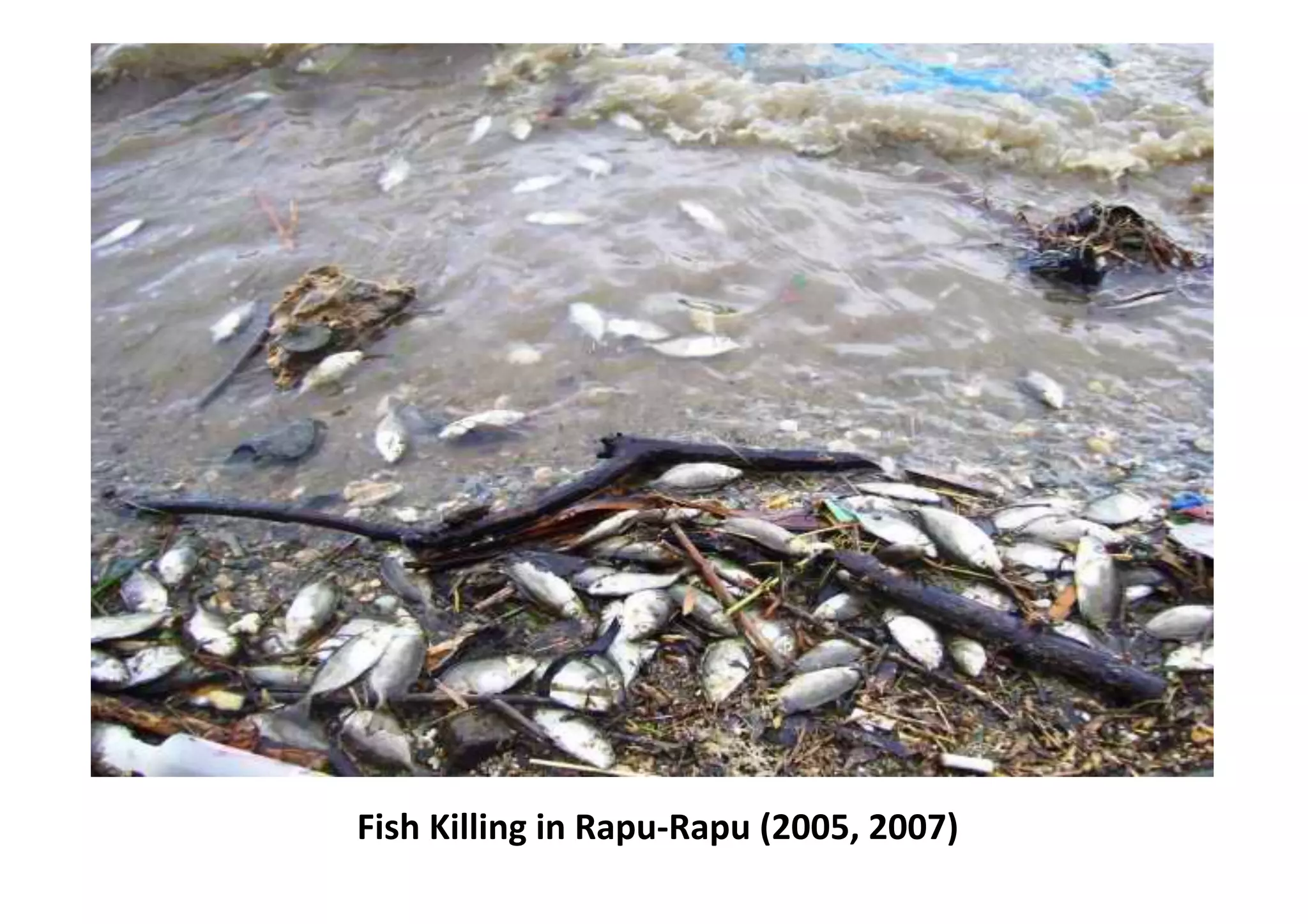 Fish	
  Killing	
  in	
  Rapu-­‐Rapu	
  (2005,	
  2007)	
  
 