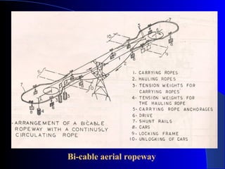 Bi-cable aerial ropeway
 