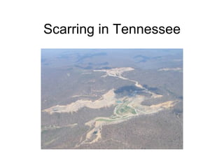 Scarring in Tennessee 