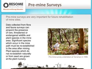 Mining rehabilitation Slide 19