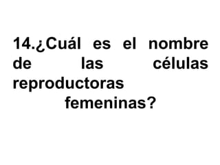 14.¿Cuál es el nombre
de      las     células
reproductoras
      femeninas?
 