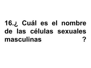16.¿ Cuál es el nombre
de las células sexuales
masculinas            ?
 