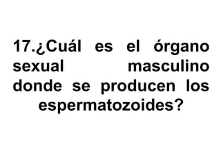 17.¿Cuál es el órgano
sexual       masculino
donde se producen los
   espermatozoides?
 