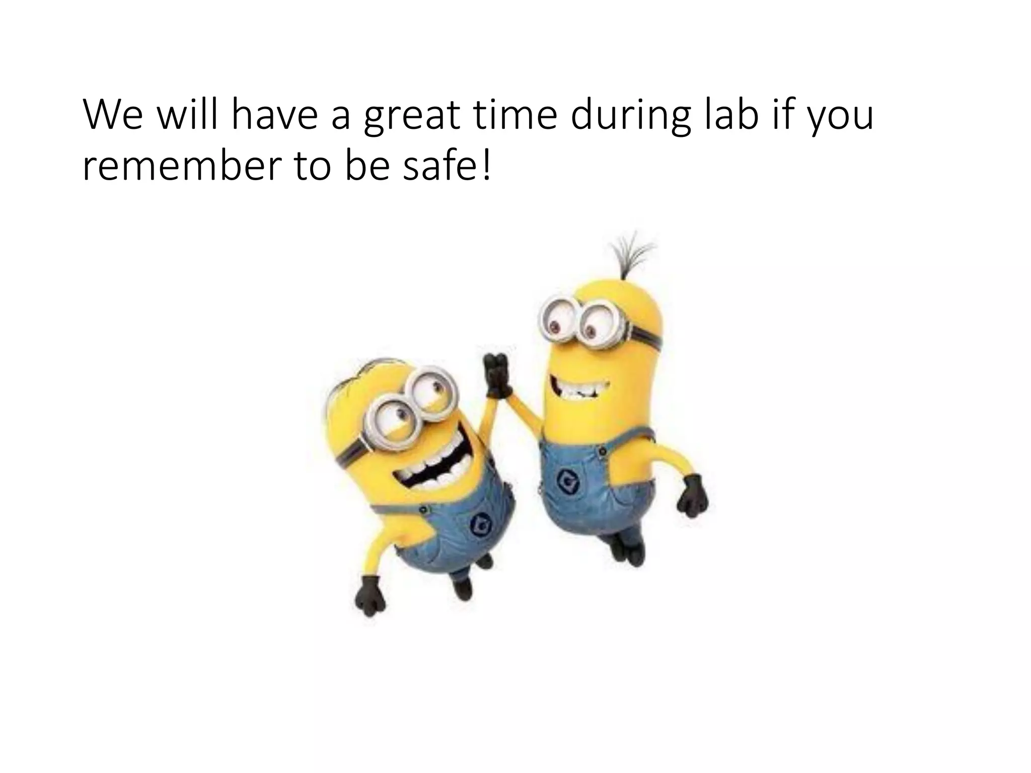We will have a great time during lab if you
remember to be safe!