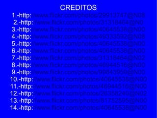 CREDITOS
1.-http://www.flickr.com/photos/29913747@N08
2.-http://www.flickr.com/photos/31318464@N0
3.-http://www.flickr.com/photos/40645538@N00
4.-http://www.flickr.com/photos/49333592@N08
5.-http://www.flickr.com/photos/40645538@N00
6.-http://www.flickr.com/photos/40645538@N00
7.-http://www.flickr.com/photos/31318464@N02
8.-http://www.flickr.com/photos/46944516@N00
9.-http://www.flickr.com/photos/99843959@N00
10.-http://www.flickr.com/photos/40645538@N00
11.-http://www.flickr.com/photos/46944516@N00
12.-http://www.flickr.com/photos/26358240@N02
13.-http://www.flickr.com/photos/81752595@N00
14.-http://www.flickr.com/photos/40645538@N00

 