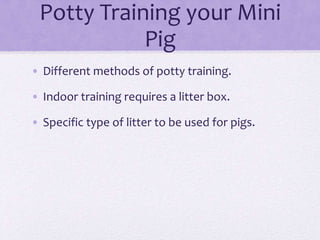 Potty Training your Mini 
Pig 
• Different methods of potty training. 
• Indoor training requires a litter box. 
• Specific type of litter to be used for pigs. 
 