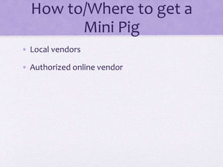 How to/Where to get a 
Mini Pig 
• Local vendors 
• Authorized online vendor 
 