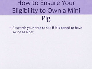 How to Ensure Your 
Eligibility to Own a Mini 
Pig 
• Research your area to see if it is zoned to have 
swine as a pet. 
 